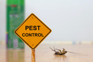 Pest Control sign with dead bug next to it